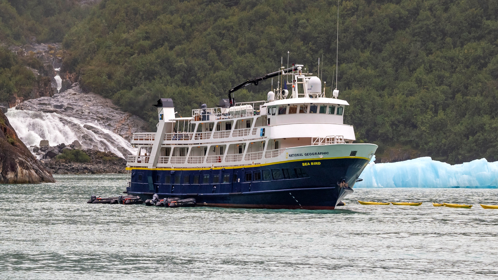 U.S. Travelers Warned Over Fourth Illness Outbreak On The Same Cruise Ship During 8-Week Span