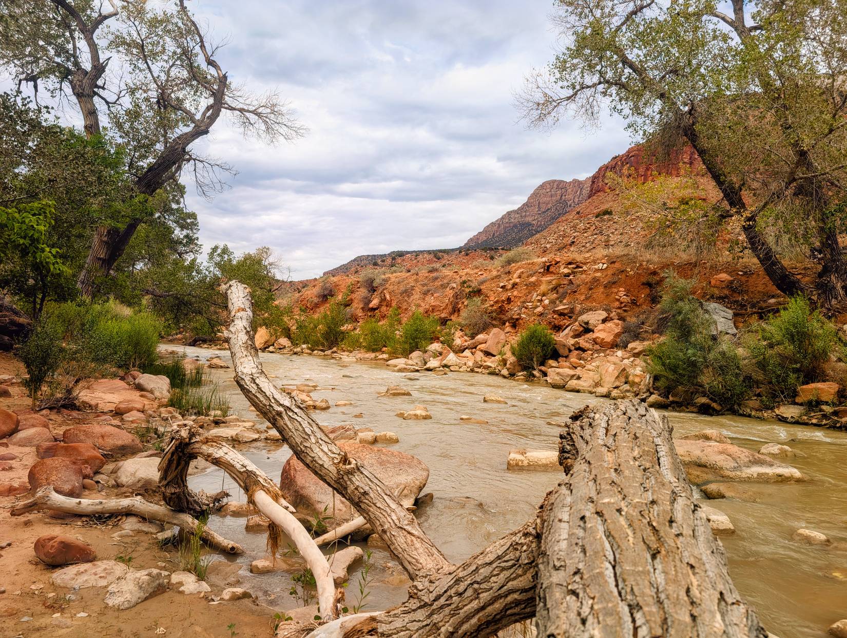 Quiet river access area along the Pa'rus Trail, Zion National Park, Utah