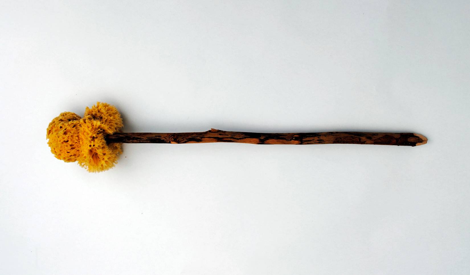 Poop Sponge Carnival Cruise Line Guests Abandon Ship After Crew Confiscates