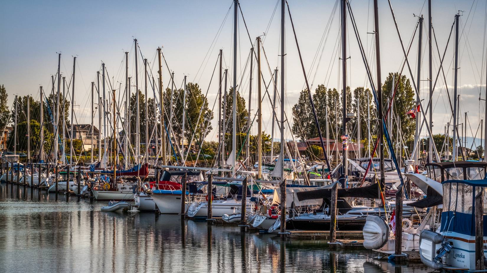 Sail boats and yachts in row anchored in marina of Point Roberts, Washington