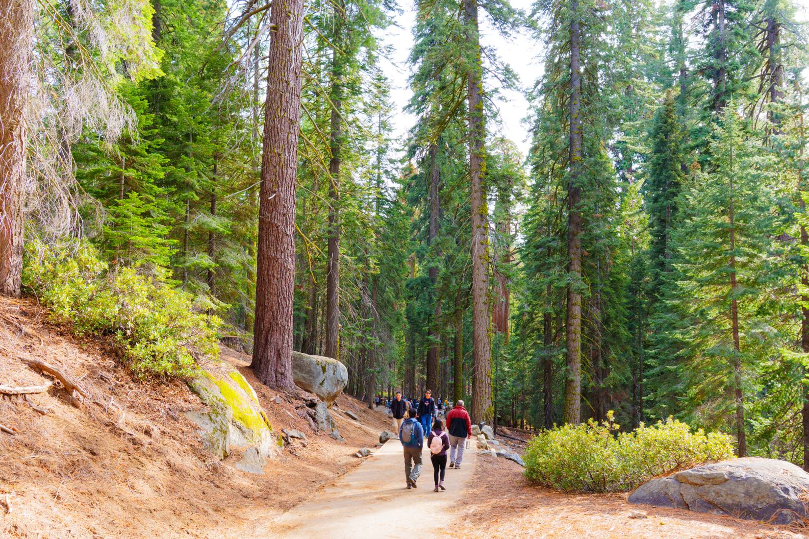 Hikers at Sequoia National Park, California