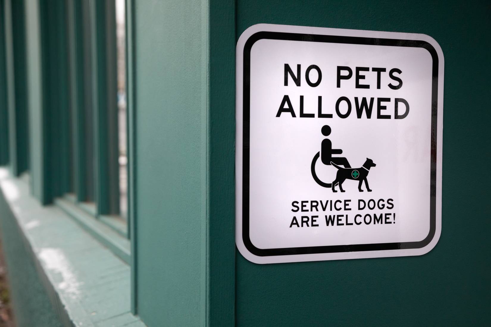 No pets allowed sign.