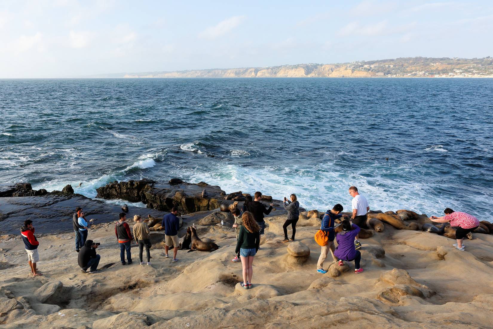 La Jolla Cove on a late afternoon. Photo showing tourists watching wild seals playing on the shore. The Cove is protected as part of a marine reserve.