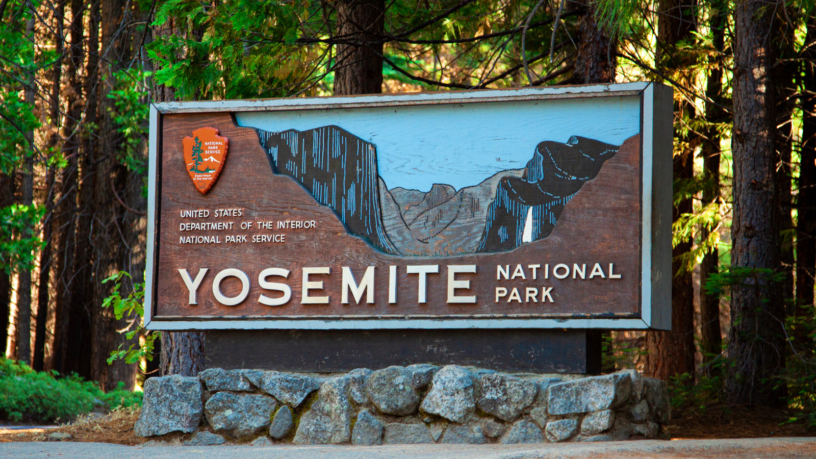 Yosemite National Park Warns Visitors Of Rare Tree Hazard After Google Engineer's Death