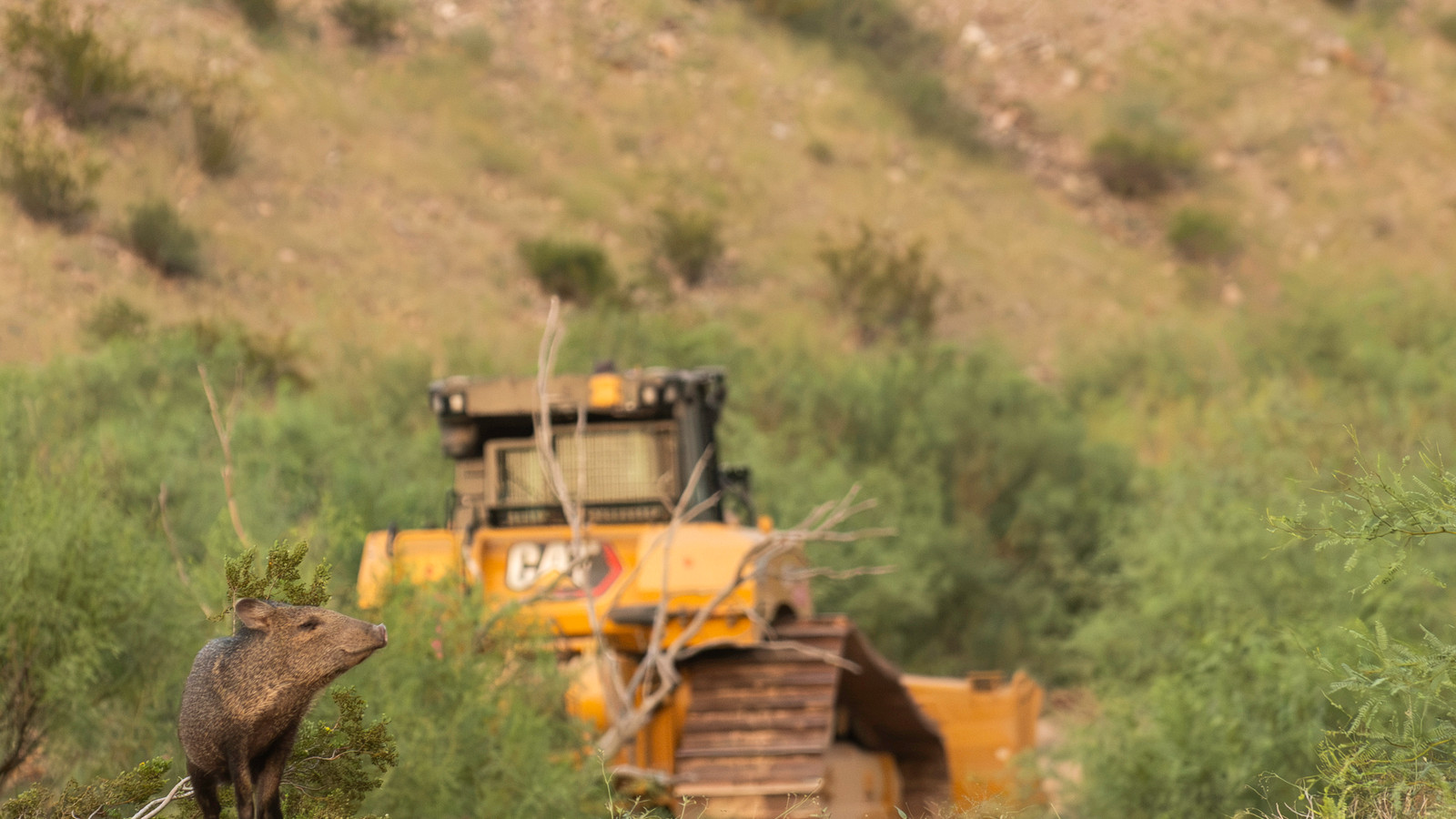 U.S. Customs And Border Protection Boss Abruptly Halts Big Bend National Park Border Wall Construction