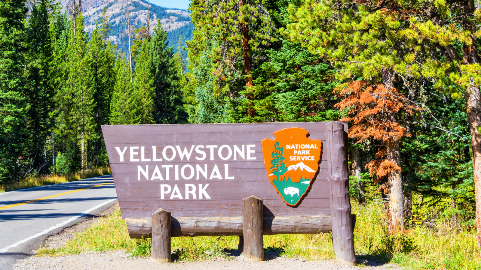Yellowstone National Park Loses Tourists Following President Trump's $100 'America First' Fee