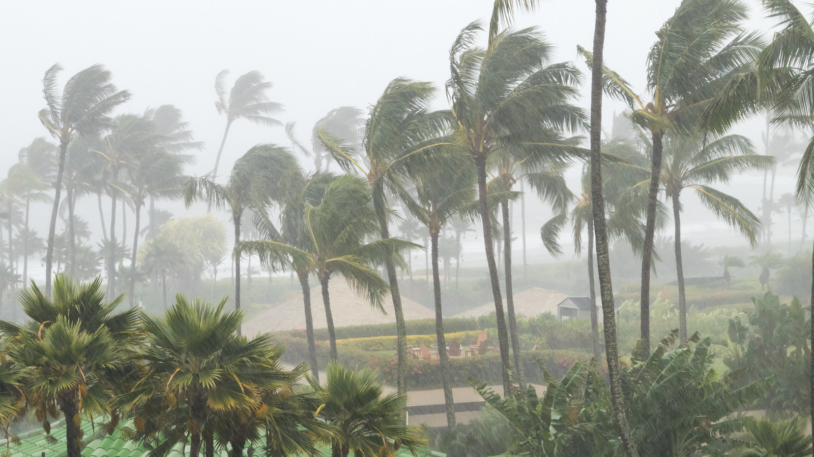 Hawaii Declares Emergency As Tropical Storm Lala Threatens First Big Island Hurricane Landfall