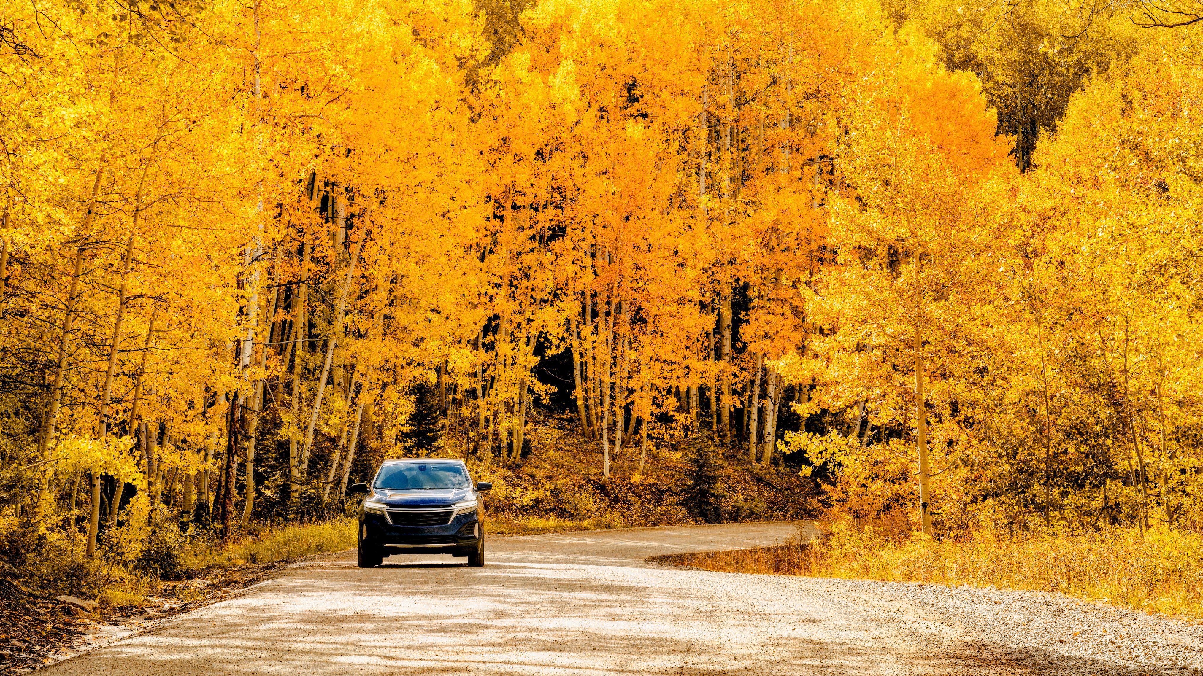 These 7 U.S. Road Trips Are Quietly Becoming America's Best Spots