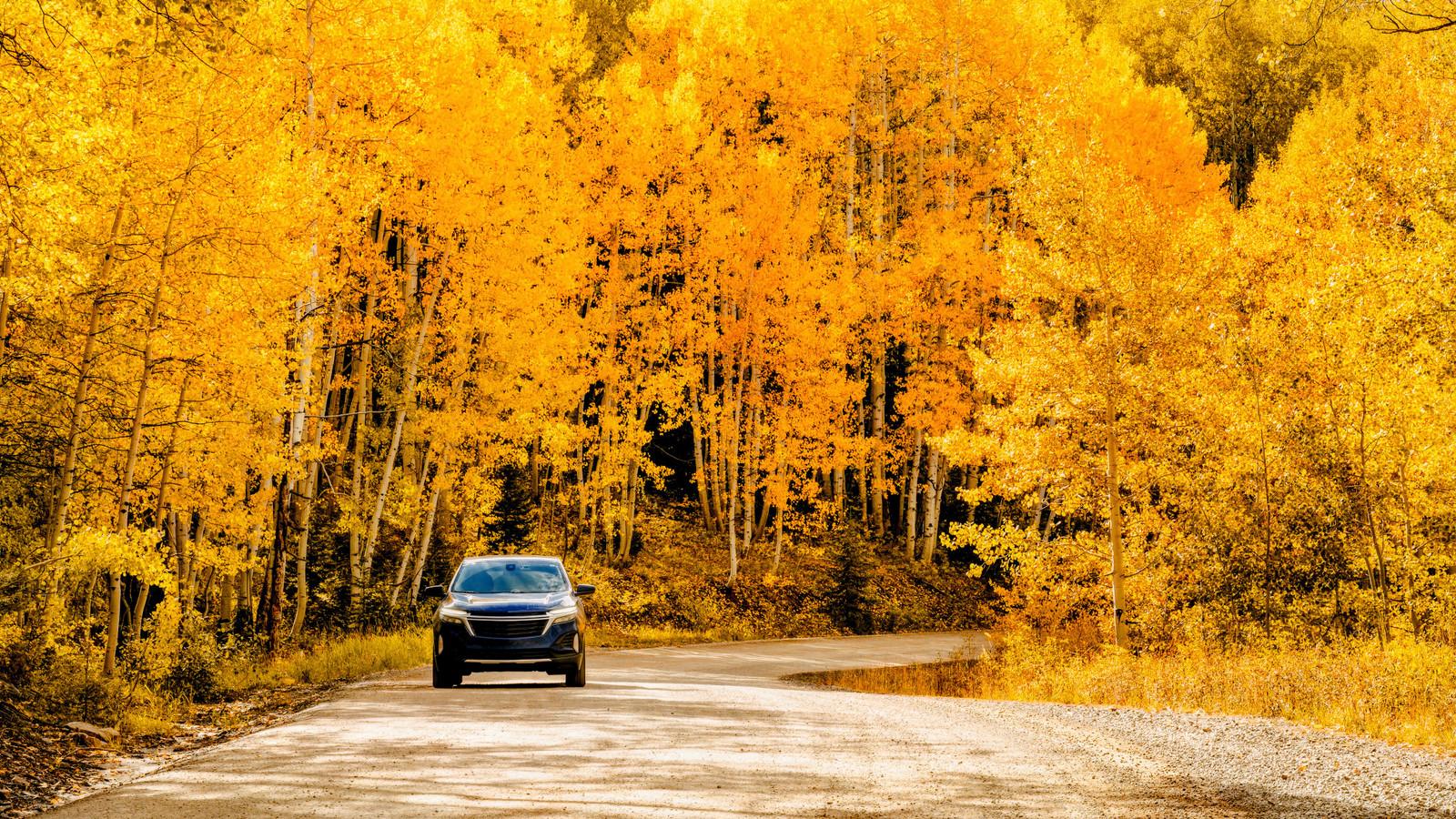 These 7 U.S. Road Trips Are Quietly Becoming America's Best Spots For Fall Foliage