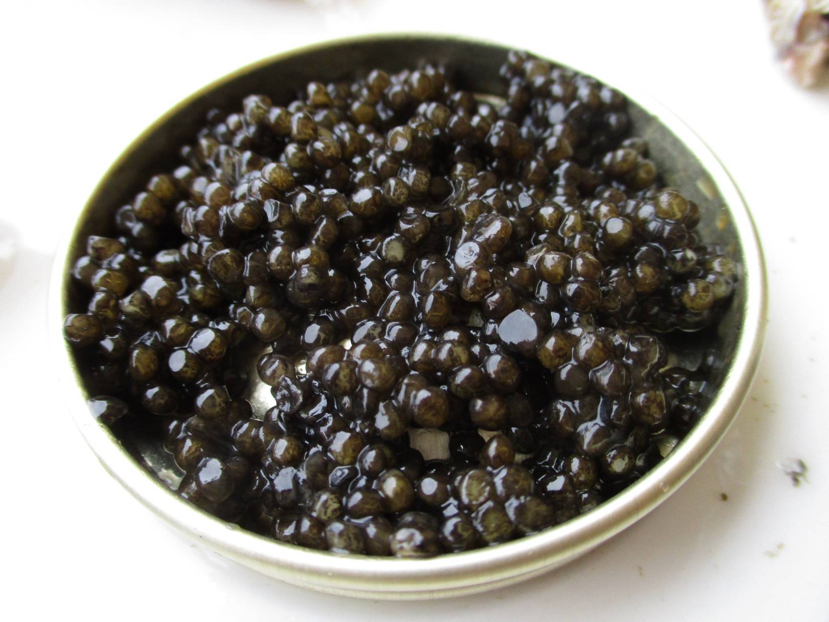 Caviar