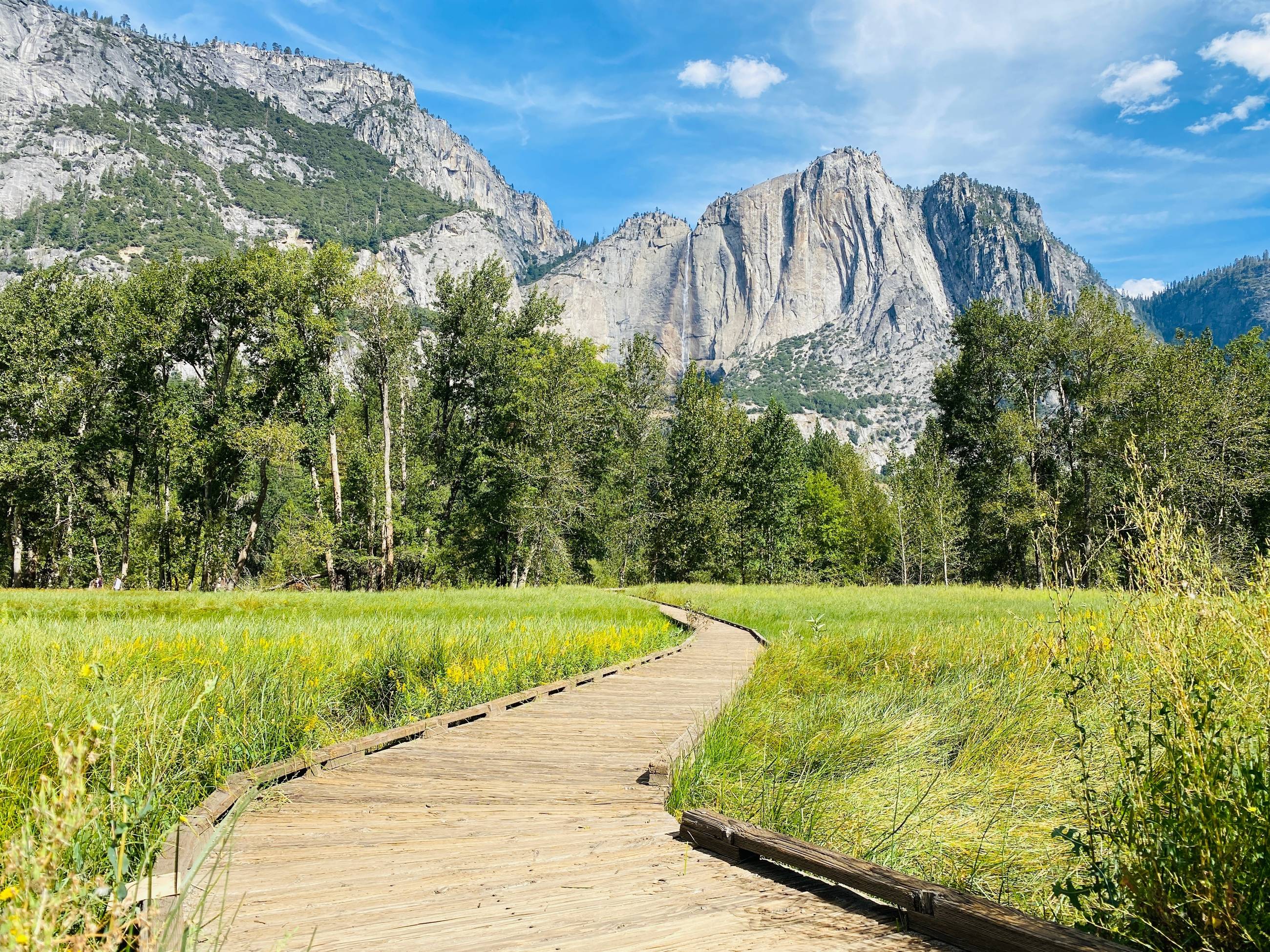 7 U.S. National Parks With The Best Accessible Hiking Trails