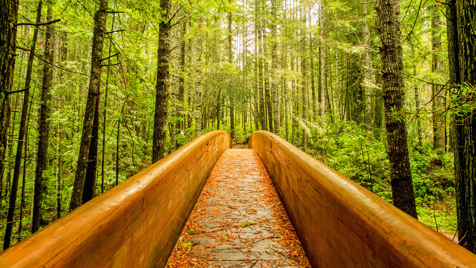 6 U.S. National Parks With The Best Trails For Seniors