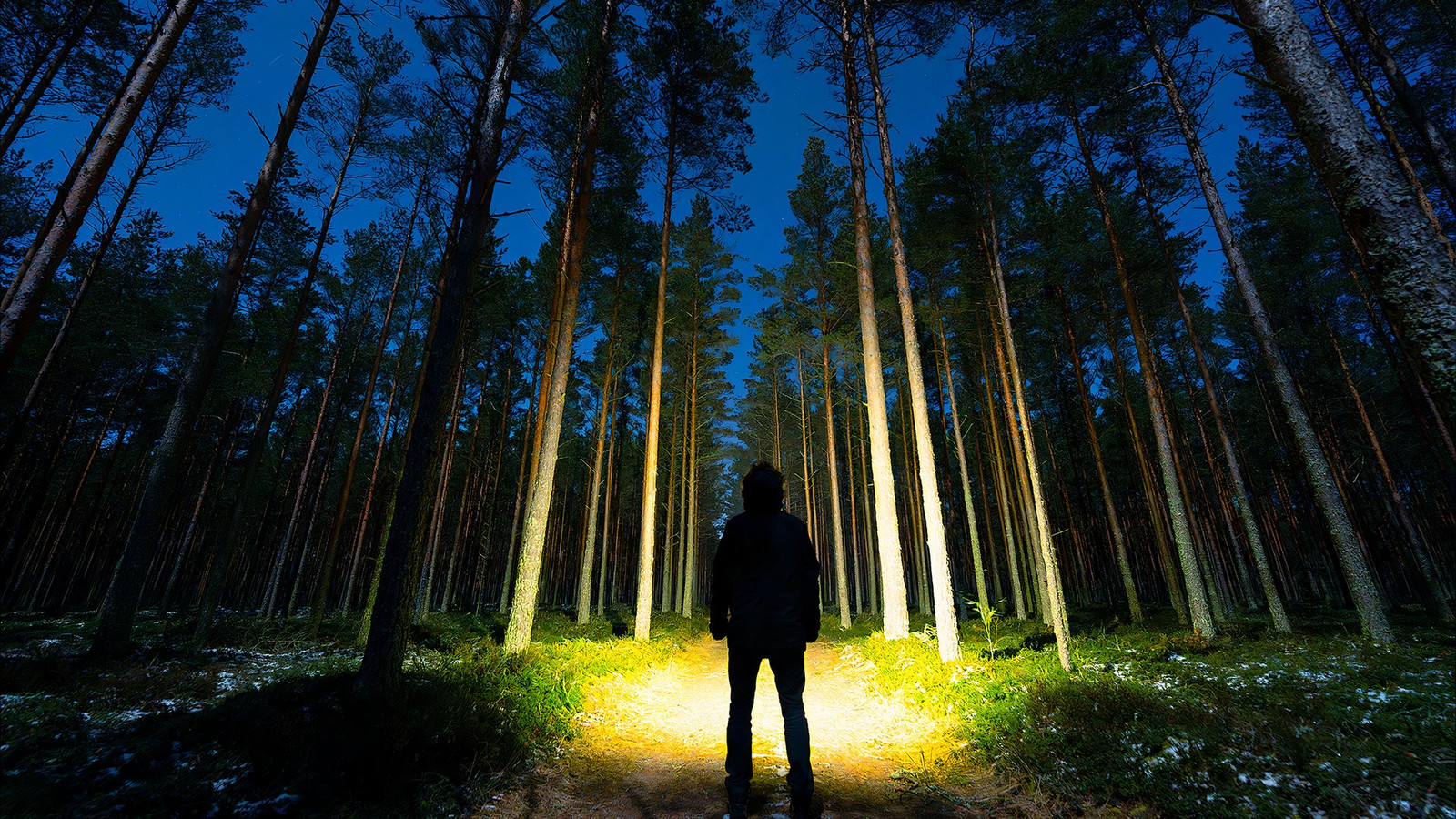 10 Creepiest Haunted Trails in America To Hike (Or Avoid) After Dark