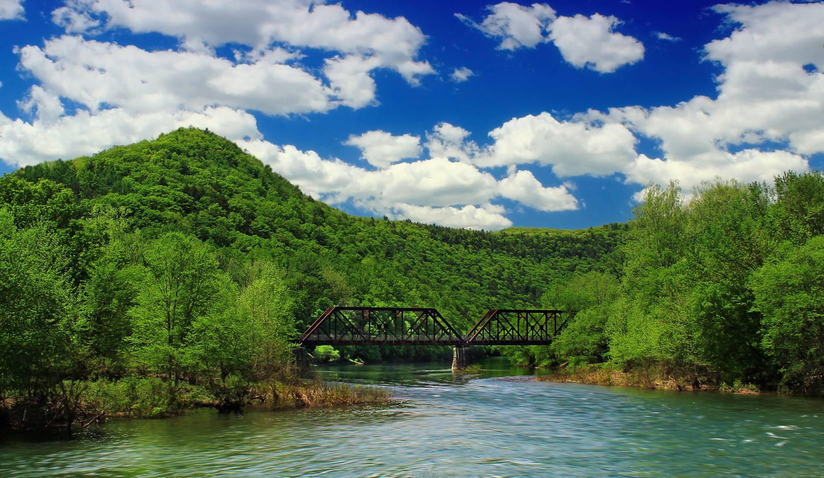 Northeast view of Pine Creek and the Pine Creek Rail-Trail Bridge