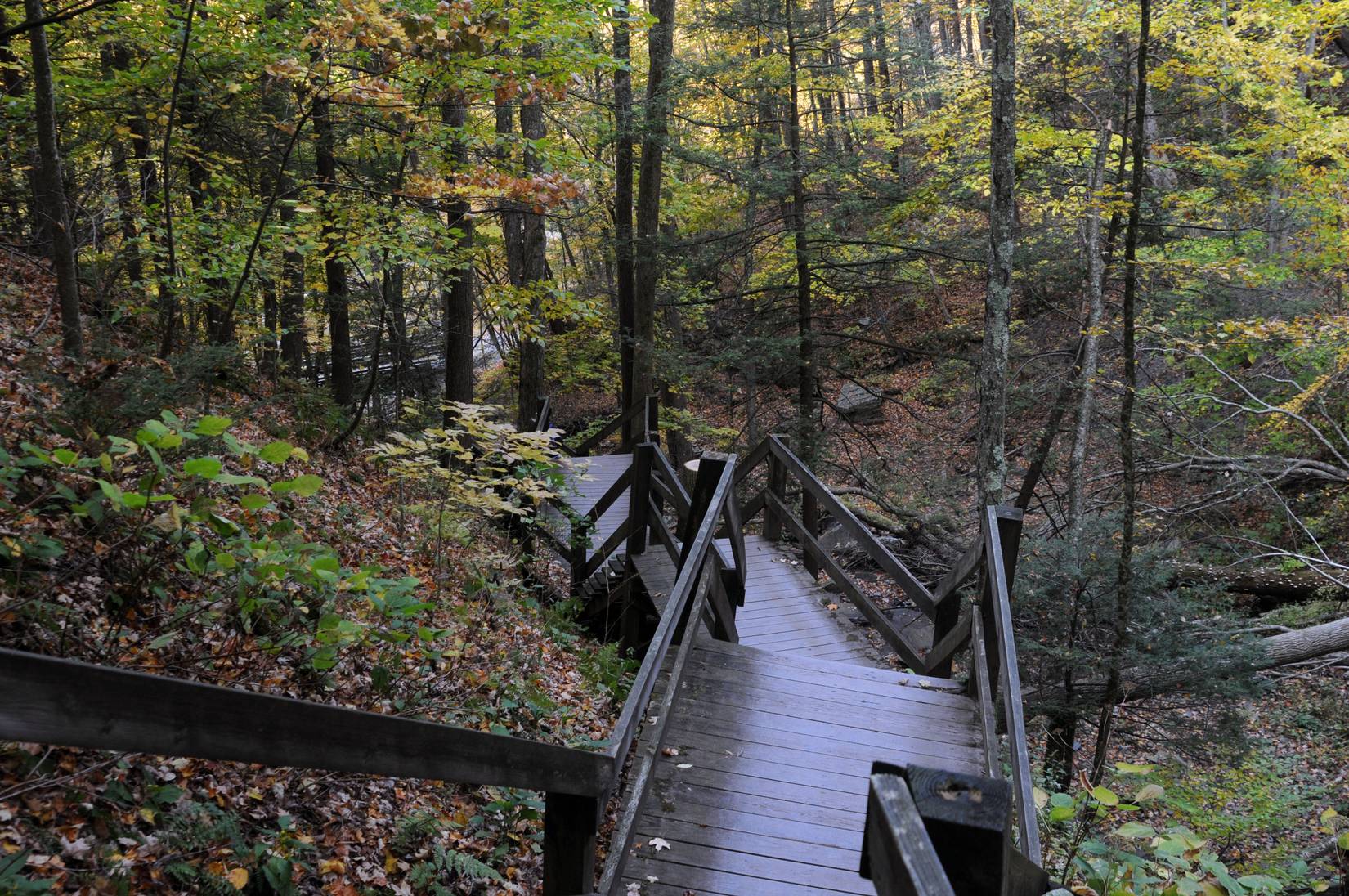 Grand Canyon of Pennsylvania, Pine Creek Gorge, Turkey Path