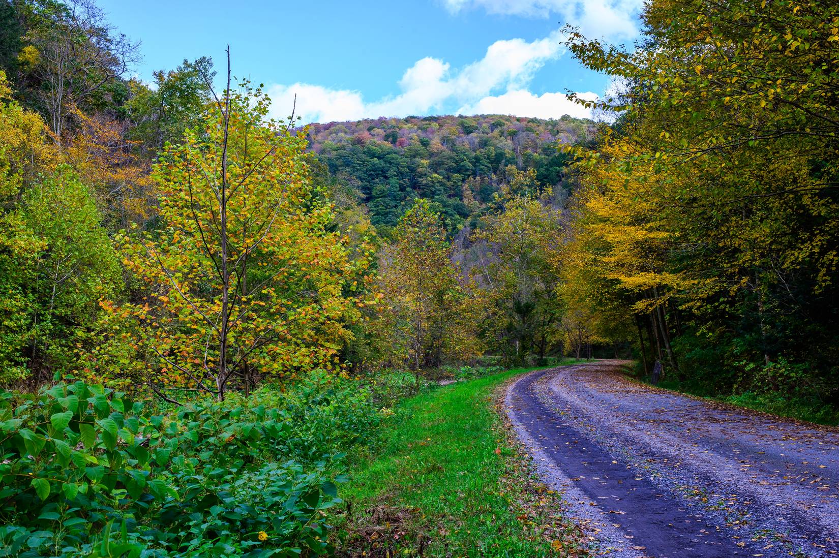 The Base of Pine Creek Gorge, or Grand Canyon of Pennsylvania