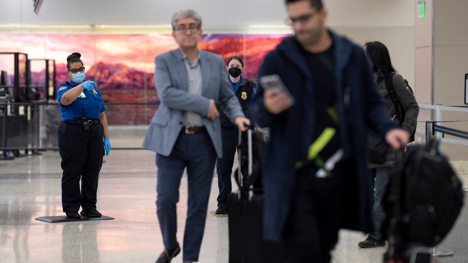 TSA Abruptly Suspends PreCheck Gateside Program Expansion Without ...