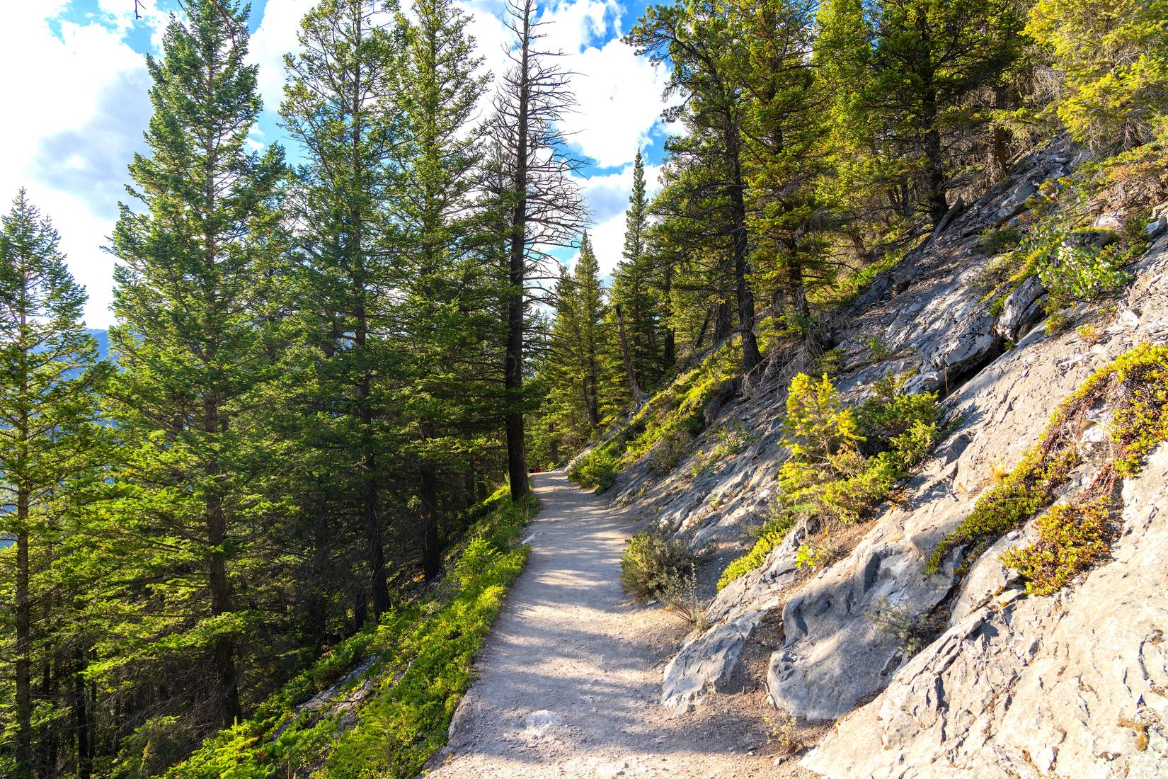 Tunnel Mountain Trail, Banff, Canada